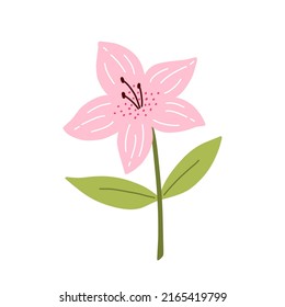 Cute azalea flower with leaves isolated on white background. Vector illustration in hand-drawn flat style. Perfect for cards, logo, decorations, spring and summer designs. Botanical clipart.