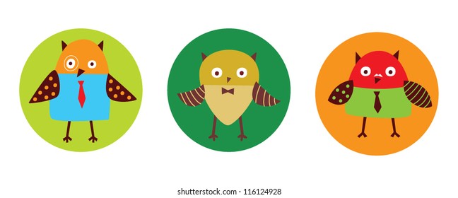cute baba owl