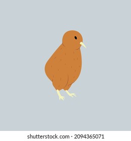 Cute Baby Animal Kiwi Bird, Hand Vector Drawing.