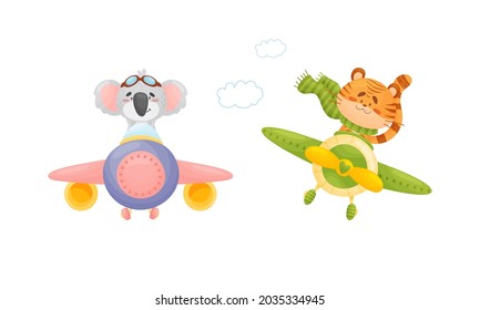 Cute baby animals pilots set. Funny koala, tiger pilot characters flying by airplane, front view cartoon vector illustration