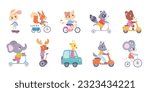 Cute baby animals ride transport set vector illustration. Cartoon driving funny animal characters collection, hedgehog giraffe fox wolf bunny squirrel elephant cat bear deer raccoon riding vehicles.
