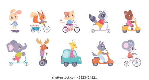 Animales pequeños montados en el transporte de la ilustración vectorial del conjunto. Caricatura que conduce divertida colección de personajes animales, hedgehog giraffe fox lobo conejito ardilla elefante gato oso de raccoon de ciervo vehículos a caballo.