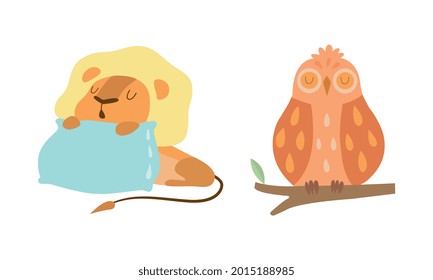 Cute Baby Animals Sleeping in Beds Set, Adorable Lion Cub and Owlet Fell Asleep on Pillows Cartoon Vector Illustration