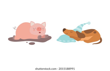 Bebé lindo: animales durmiendo en camas montadas, lechón adorable y cachorro dormido en almohadas Vector de dibujos animados Ilustración