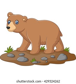 Cute baby bear cartoon