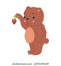 Cute baby bear eating strawberry. Funny wild forest brown animal character cartoon vector illustration