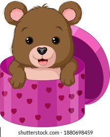 Cute baby bear inside a gift box