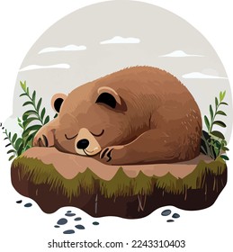 A Cute baby bear sleeping