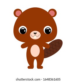 Cute baby beaver. Cartoon character for decoration and design of the album, scrapbook, baby card and invitation. Forest animal. Flat vector stock illustration on white background