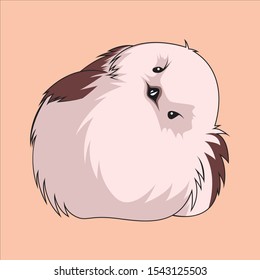 Cute baby bird, fat, and light pink fur.