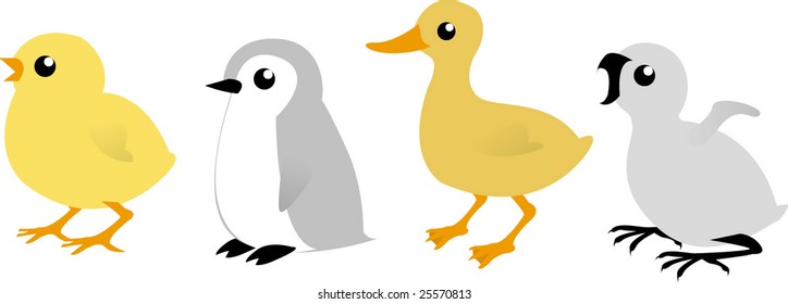 cute baby birds