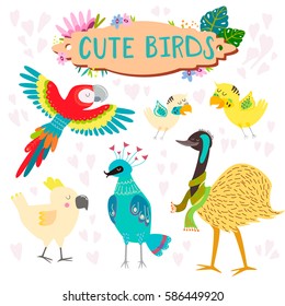 Cute baby birds collection. Australian birds.