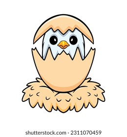 Cute baby blue love bird cartoon inside from egg