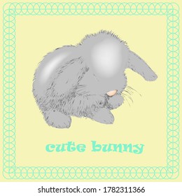 Cute baby Bunny on a yellow background