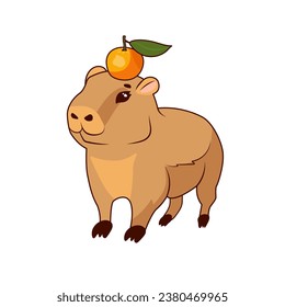 A cute baby capybara with a juicy fragrant orange on his head stands on a white background, isolate