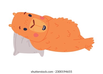 Cute baby capybara lying on pillow. Funny furry animal of South America cartoon vector illustration