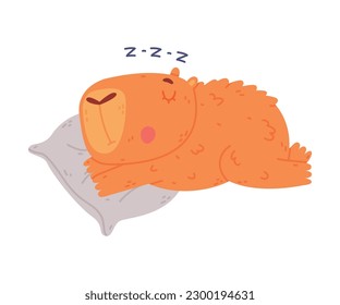 Cute baby capybara sleeping on pillow. Funny animal of South America cartoon vector illustration