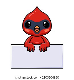 Cute baby cardinal bird cartoon with blank sign