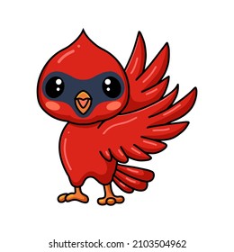 Cute baby cardinal bird cartoon posing