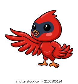 Cute baby cardinal bird cartoon presenting