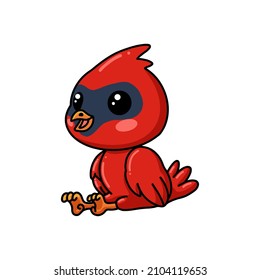 Cute baby cardinal bird cartoon sitting