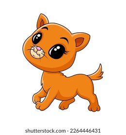 Cute baby cat funny happy