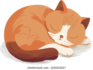 A cute baby cat sleeping