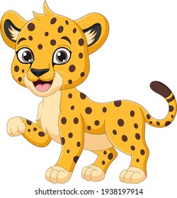 Cute baby cheetah cartoon on white background