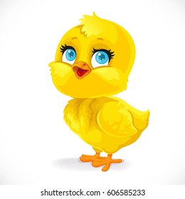 Cute baby chick isolated on a white background