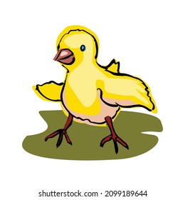 Cute baby chick shows a side isolated on a white background