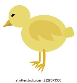 Cute baby chick in transparent background vector.