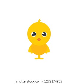 cute baby chick vector