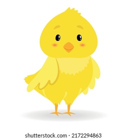 Cute Baby Chicken Little Chracter For Kids. Flat Vector Illustration