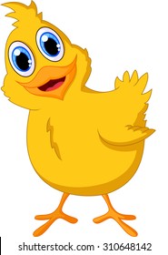 Cute baby chicken posing 