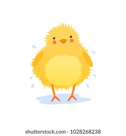 Cute baby chicken shaking water after bathing,, funny cartoon bird character vector Illustration on a white background
