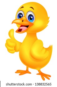 Cute baby chicken with thumb up