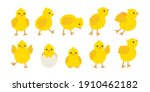Cute baby chickens set in different poses for easter design. Little yellow cartoon chicks. Vector illustration isolated on white background