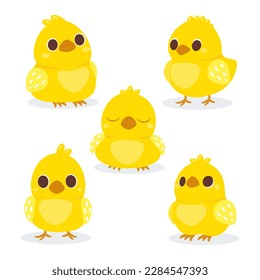 Cute baby chickens set. Little yellow cartoon chicks. Vector illustration isolated on white background.