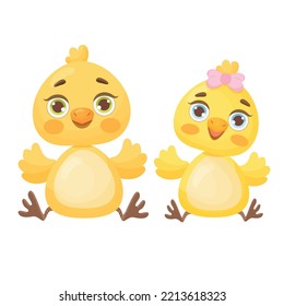 Cute  baby chicks sitting and smiling isolated on a white background