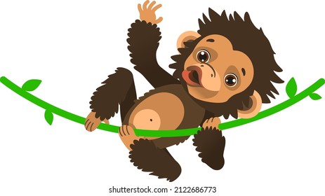 A cute baby chimpanzee is swinging on a liana and waving his hand. African rainforest fauna. Vector illustration. Cartoon style.