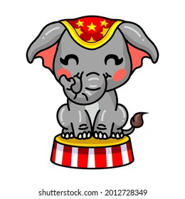 Cute baby circus elephant cartoon sitting on stage