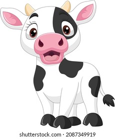 Cute baby cow cartoon on white background