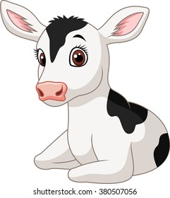 Cute baby cow isolated on white background
