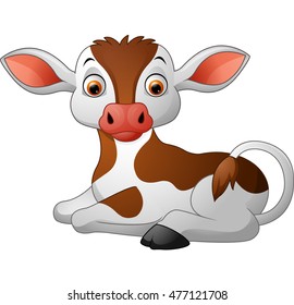 Cute baby cow sitting