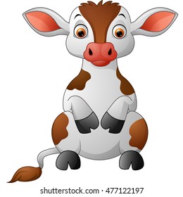 Cute baby cow sitting isolated on white background
