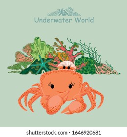 Cute baby crab, sea shell and coral reef. Underwater world print for children's wear, greeting cards, menu, wallpaper, decoration. Vector Illustration