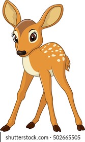 Cute baby deer 