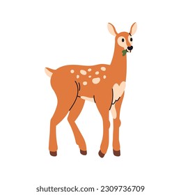 Cute baby deer. Adorable fawn, young wild forest animal cub with spots. Little bambi eating leaf food. Woodland mammal. Flat vector illustration isolated on white background
