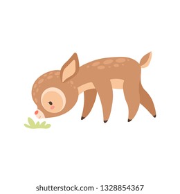 Cute Baby Deer Grazing, Adorable Forest Fawn Animal Vector Illustration