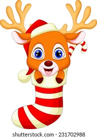 Cute baby deer in the socks with christmas red hat